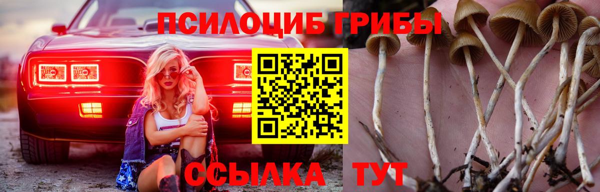 Галлюциногенные грибы Magic Shrooms Дубна