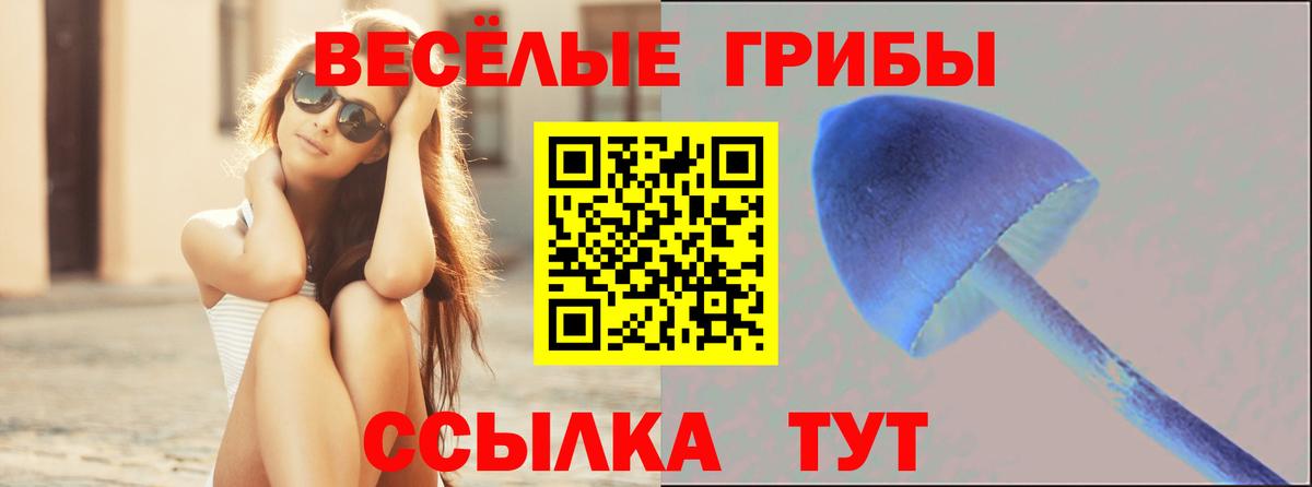 Дубна  Псилоцибиновые грибы Psilocybine cubensis  Вход с VPN 